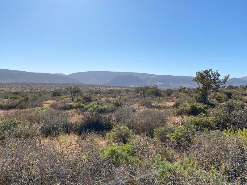 0 Bedroom Property for Sale in Kirkwood Eastern Cape